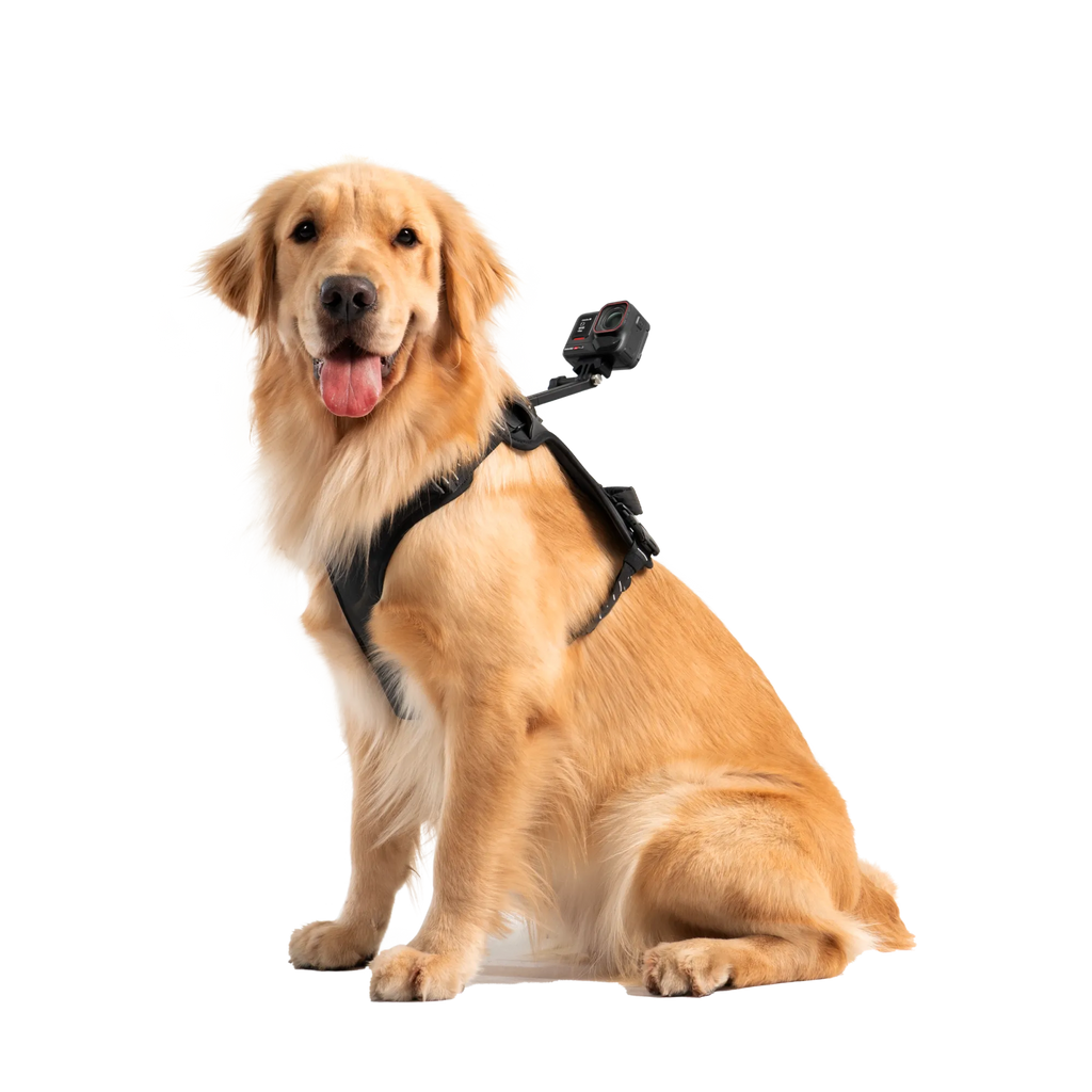Insta360 Pet Harness Mount