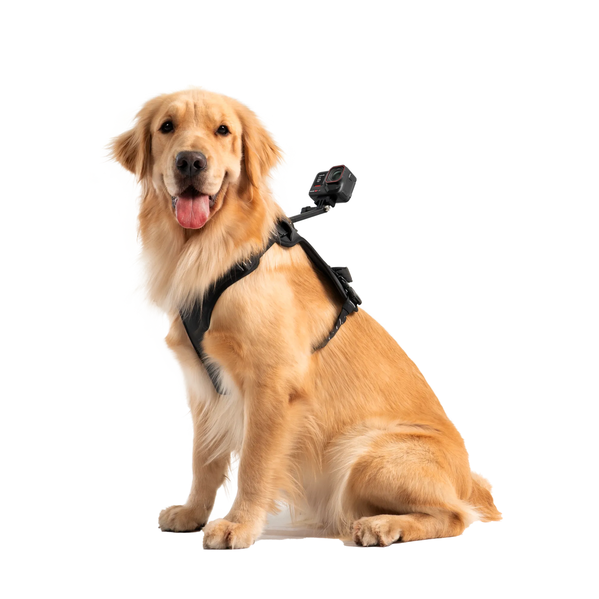 Insta360 Pet Harness Mount