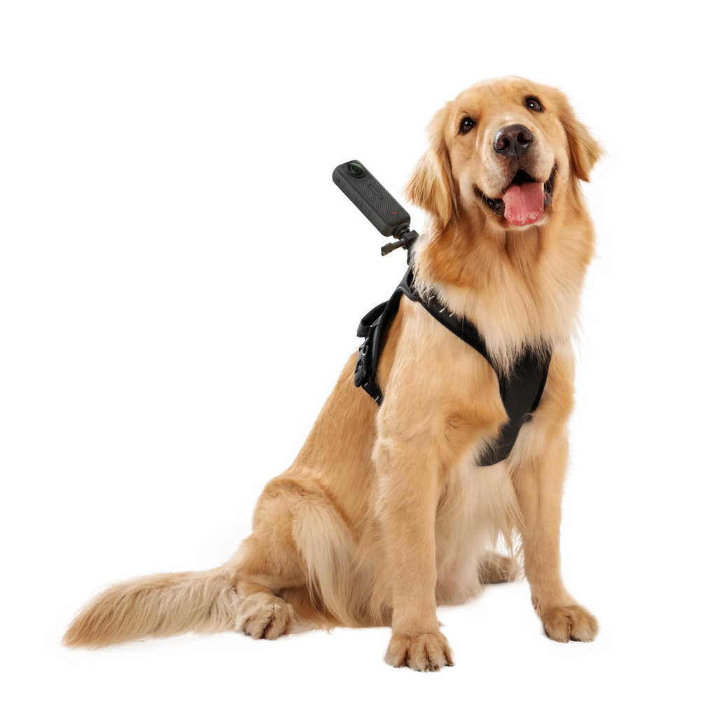 Insta360 Pet Harness Mount