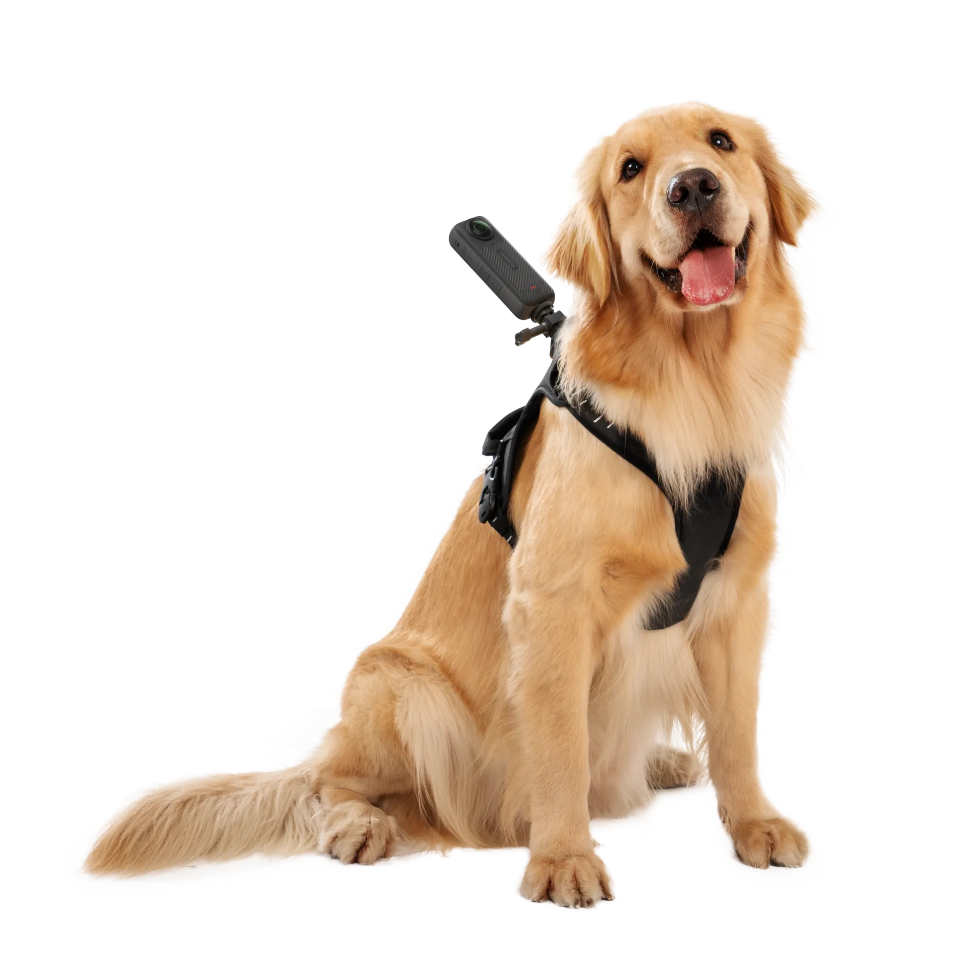 Insta360 Pet Harness Mount