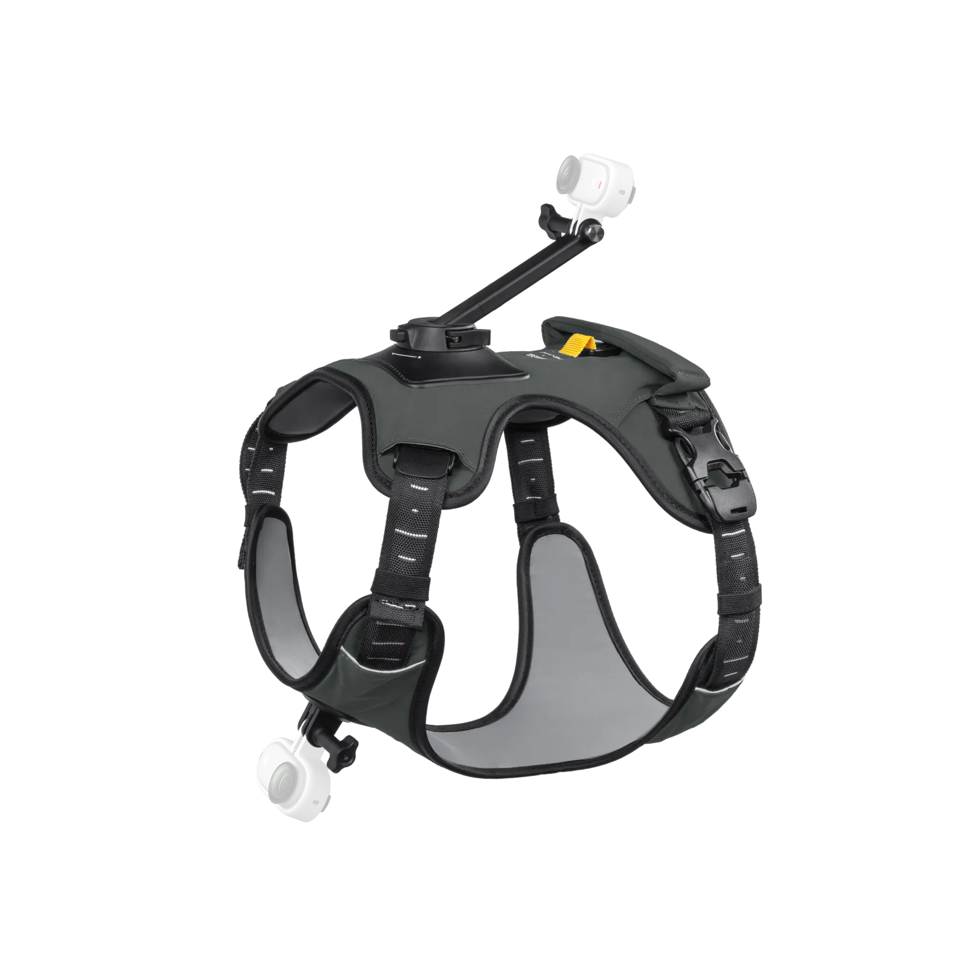 Insta360 Pet Harness Mount