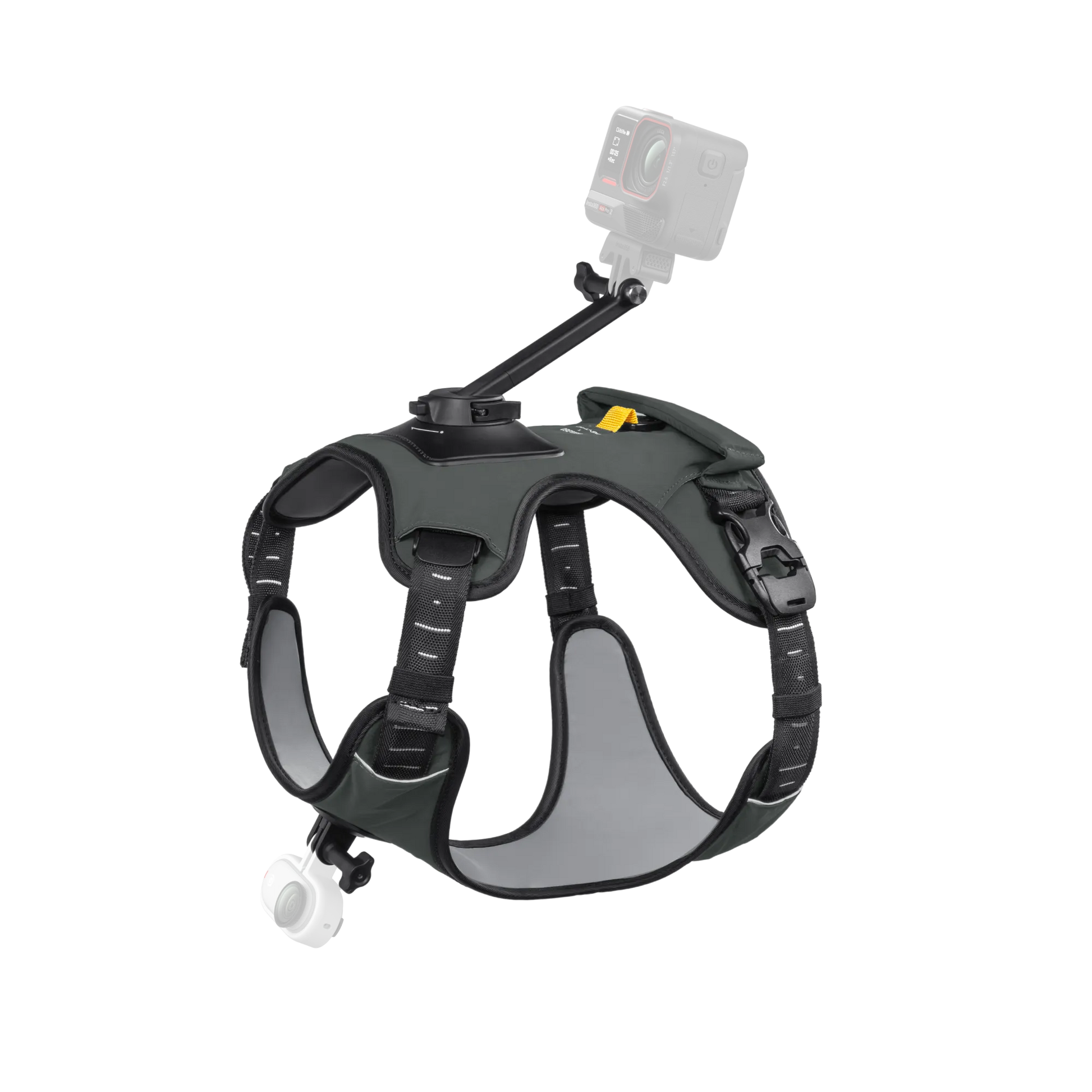 Insta360 Pet Harness Mount